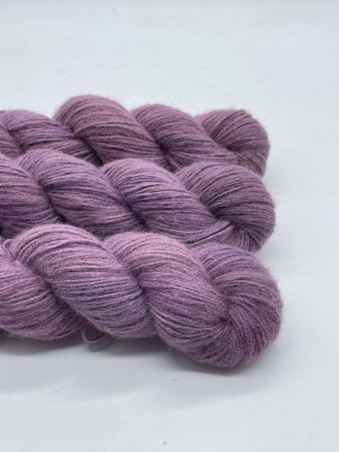 Aubergine – Bild 2