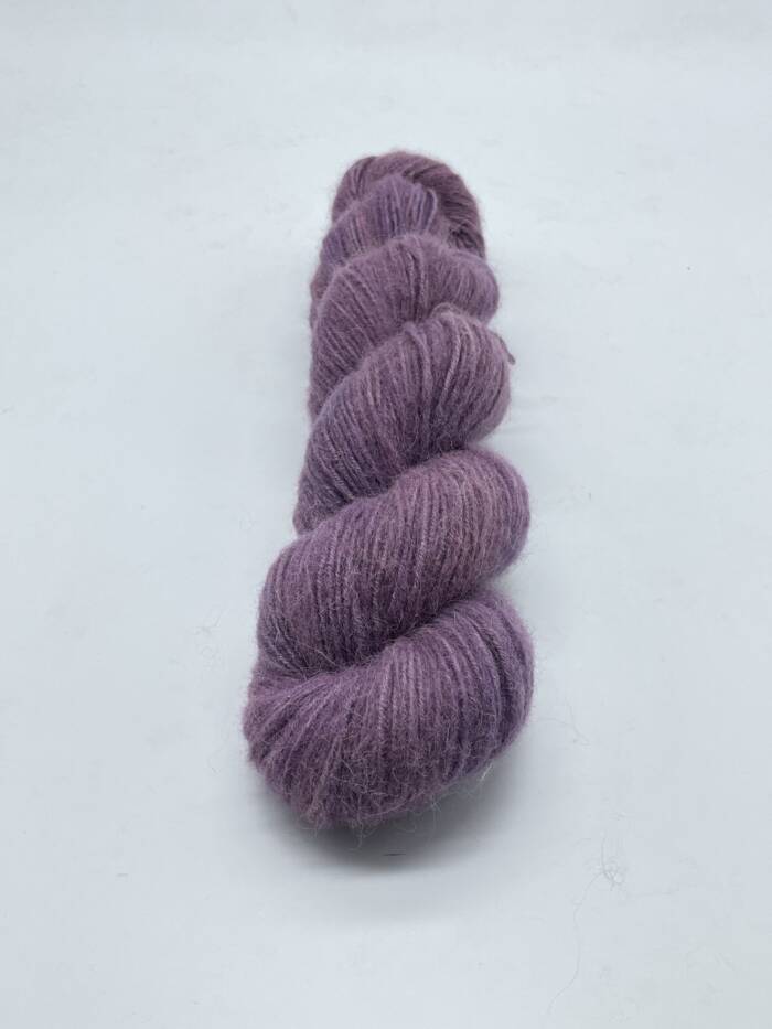 Aubergine – Bild 6