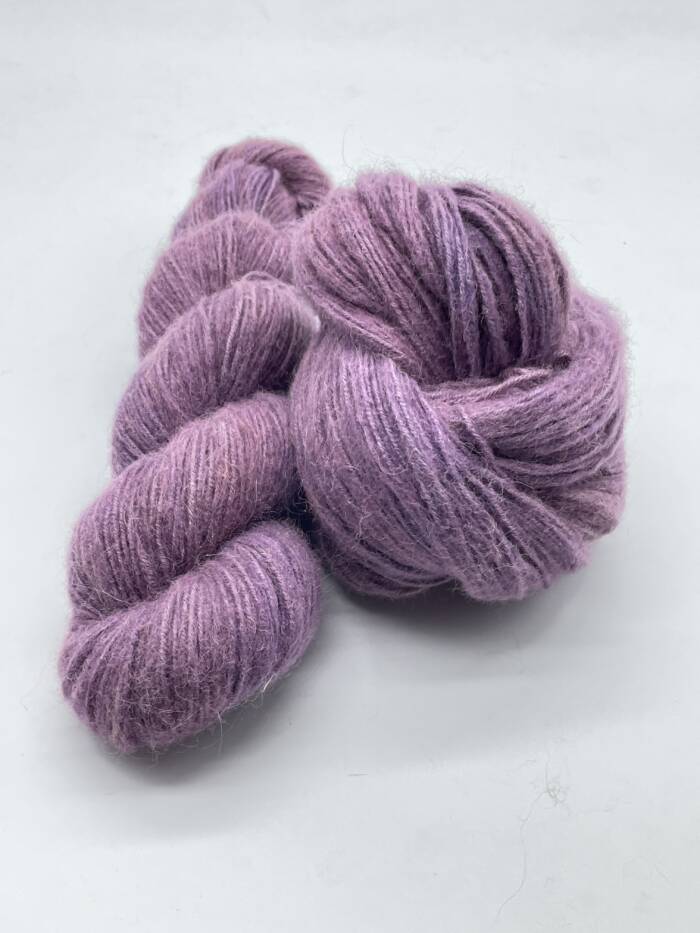 Aubergine – Bild 5