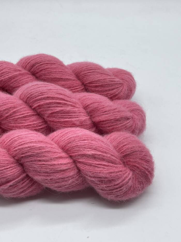 Rasberry – Bild 2