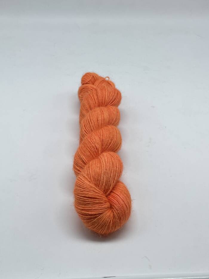 Pumpkin – Bild 3