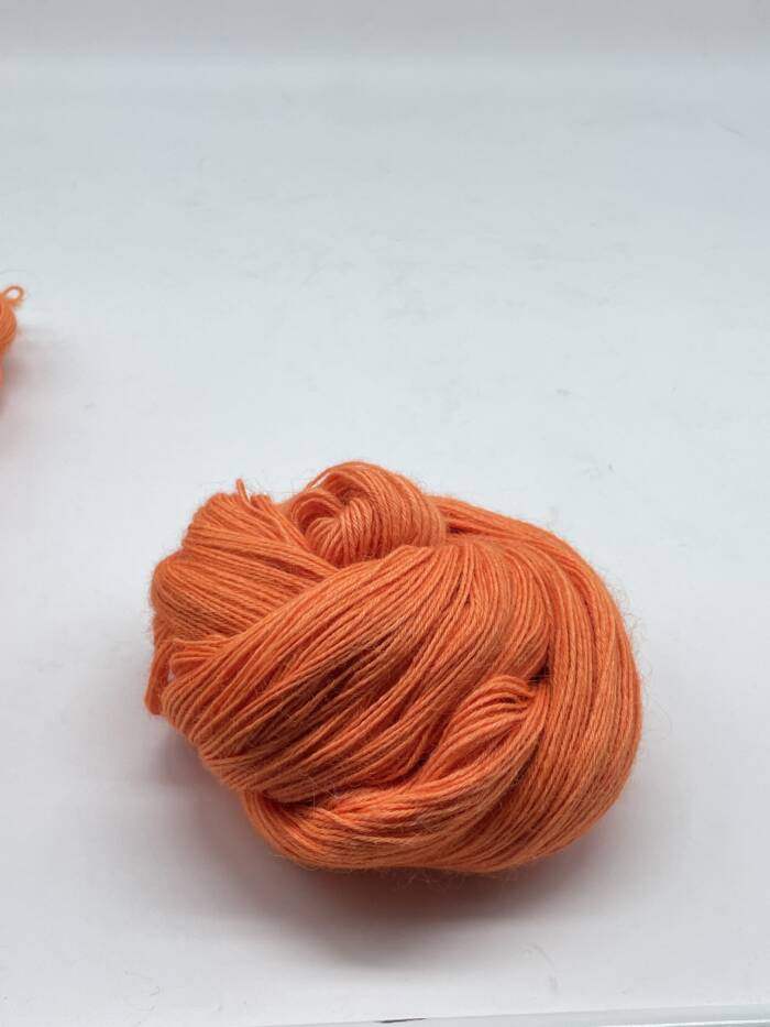 Pumpkin – Bild 5