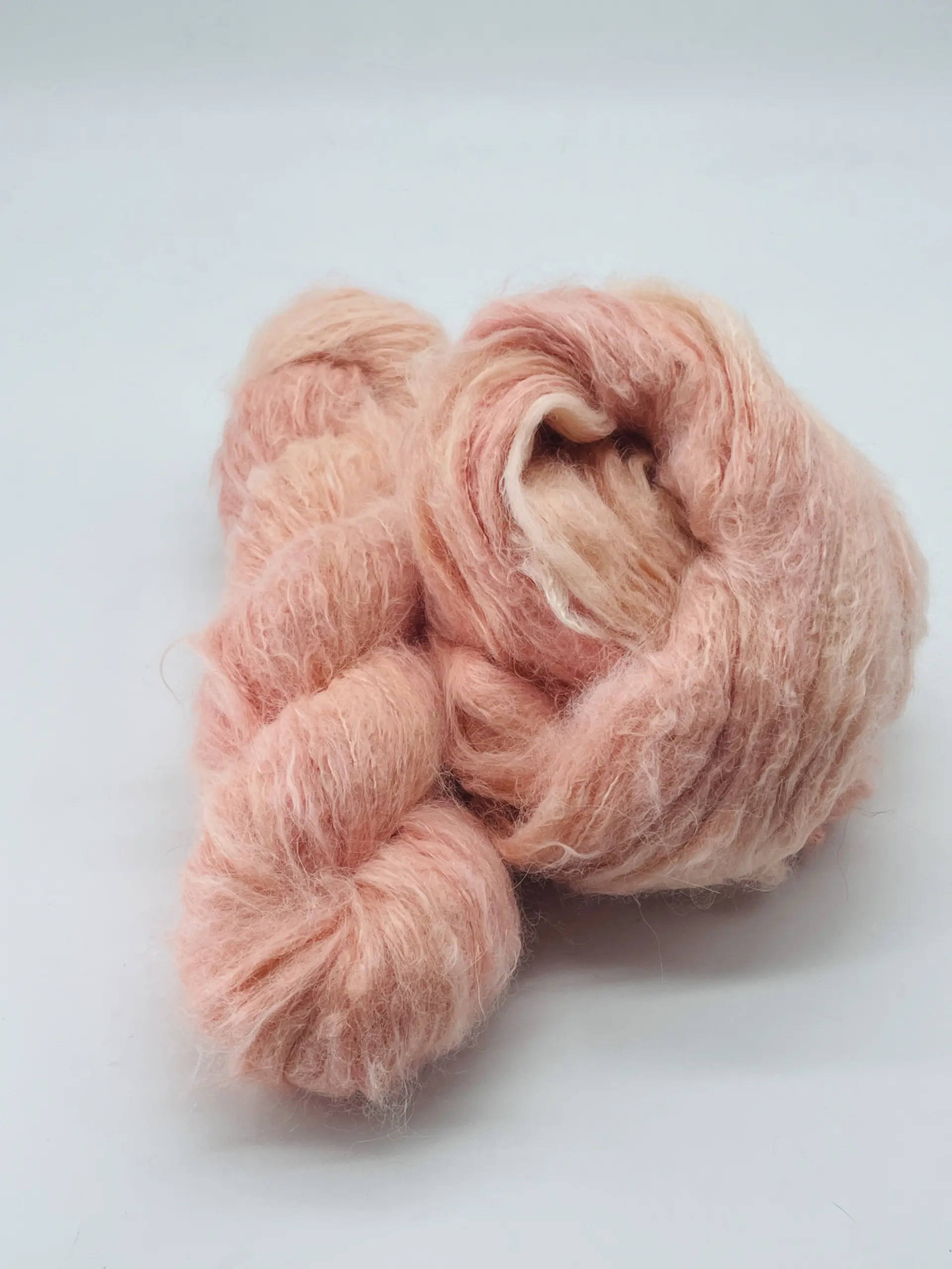 Bellini – Bild 5