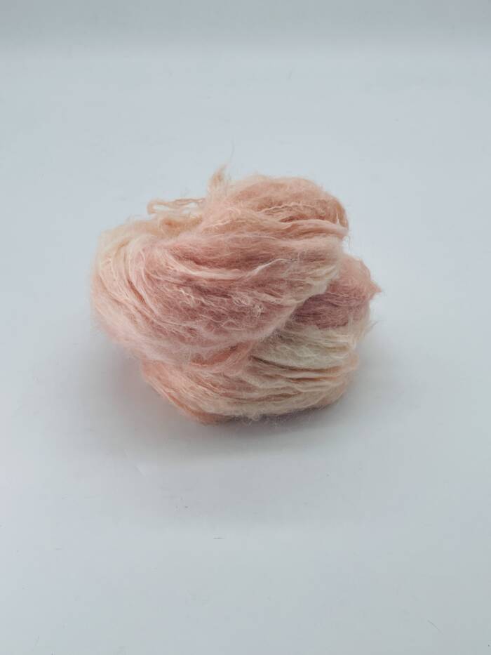 Bellini – Bild 6