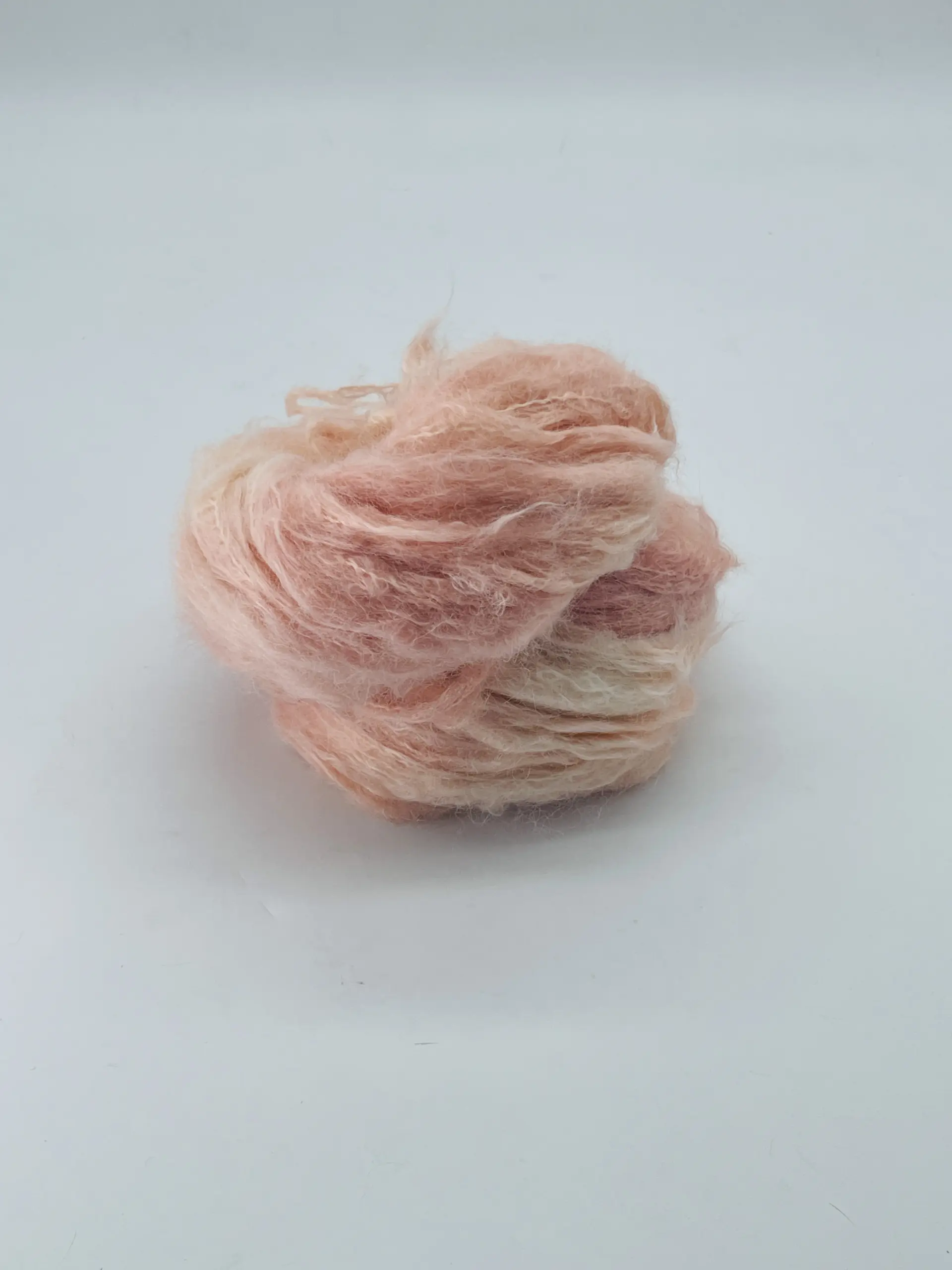 Bellini – Bild 6
