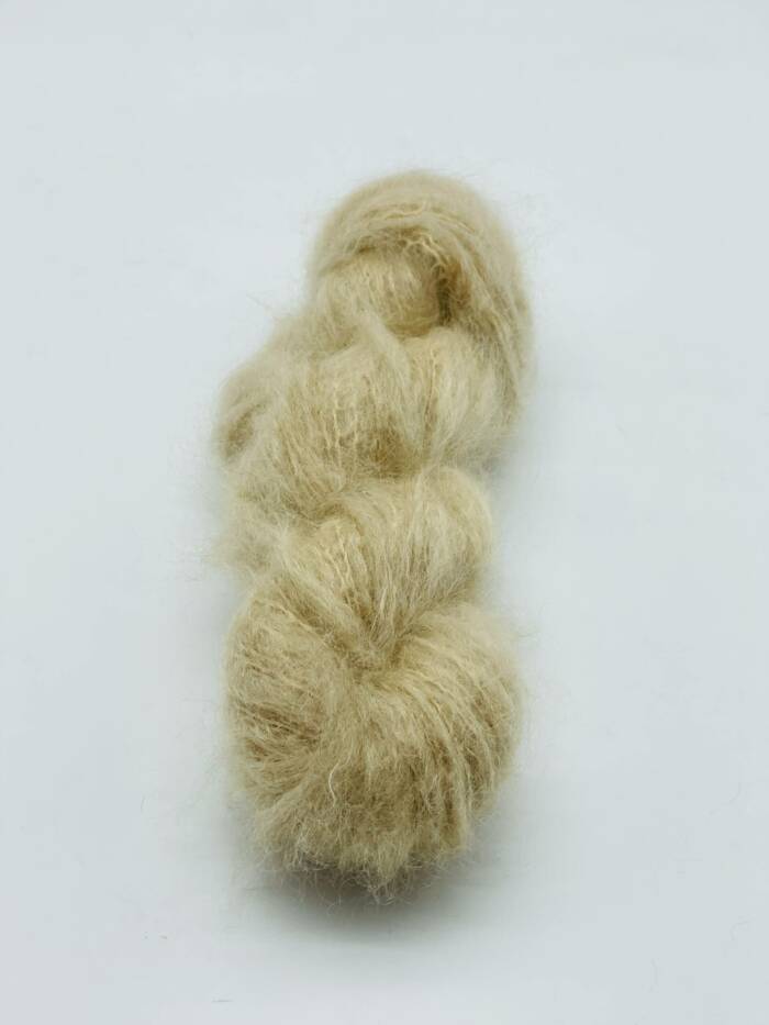 Sahara – Bild 3