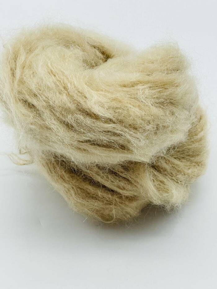 Sahara – Bild 5