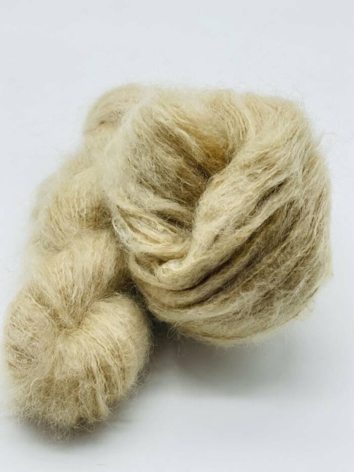 Sahara – Bild 4