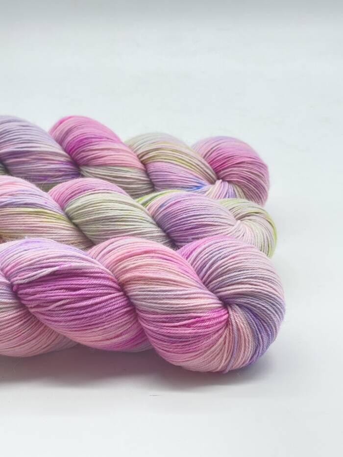 Tropical Dream – Bild 2