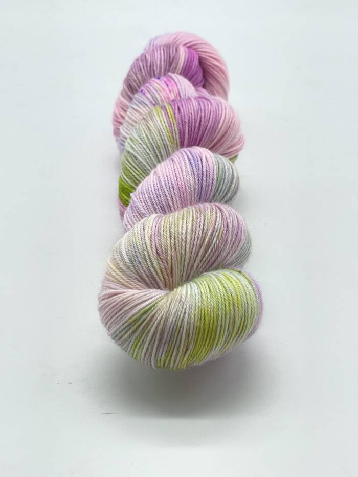 Tropical Dream – Bild 3