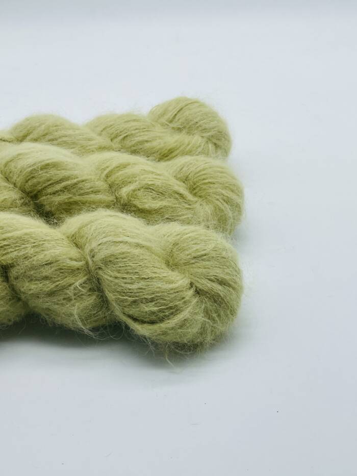 Sage – Bild 2