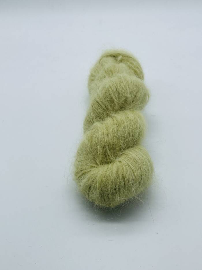 Sage – Bild 3