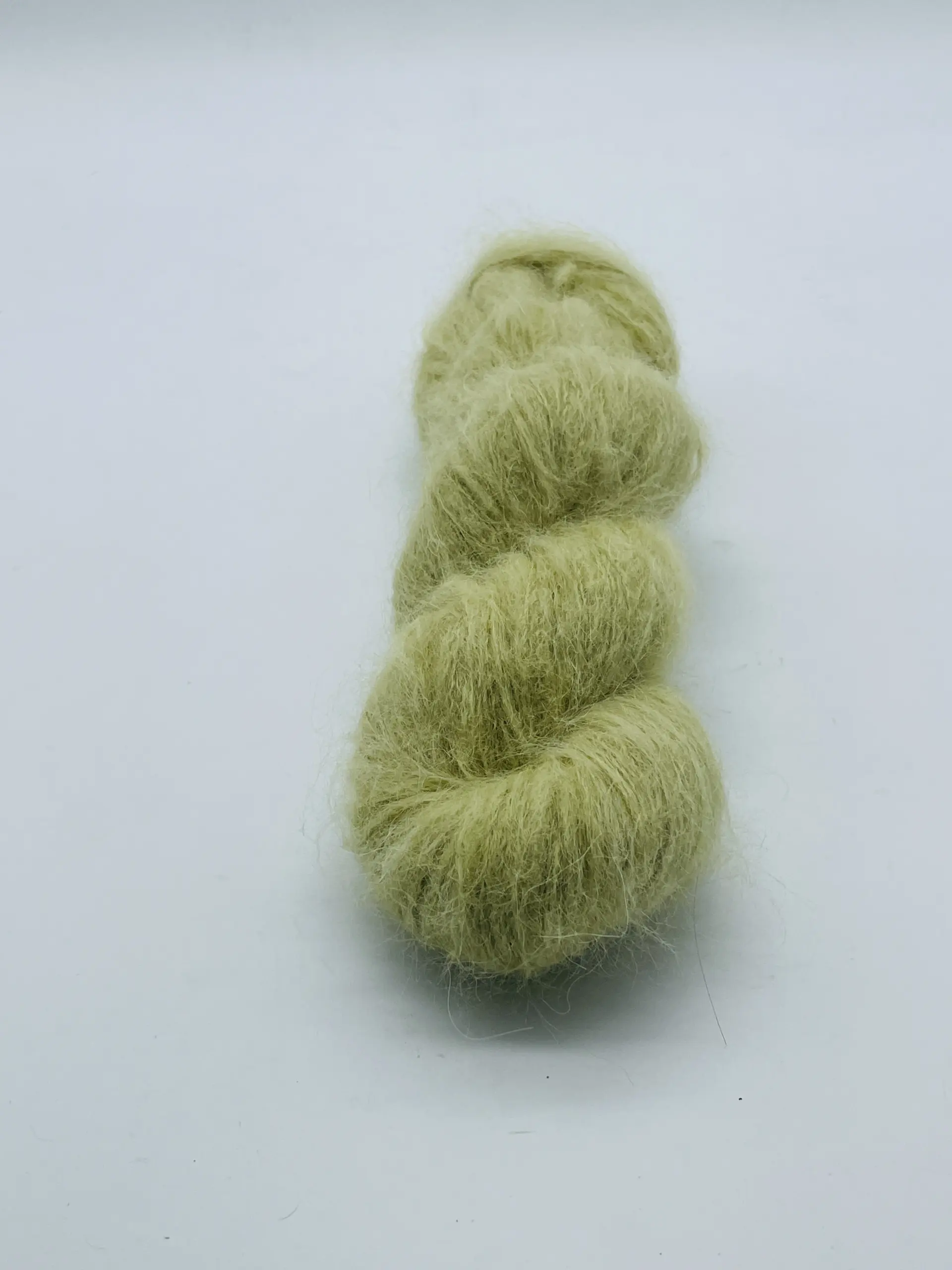 Sage – Bild 3