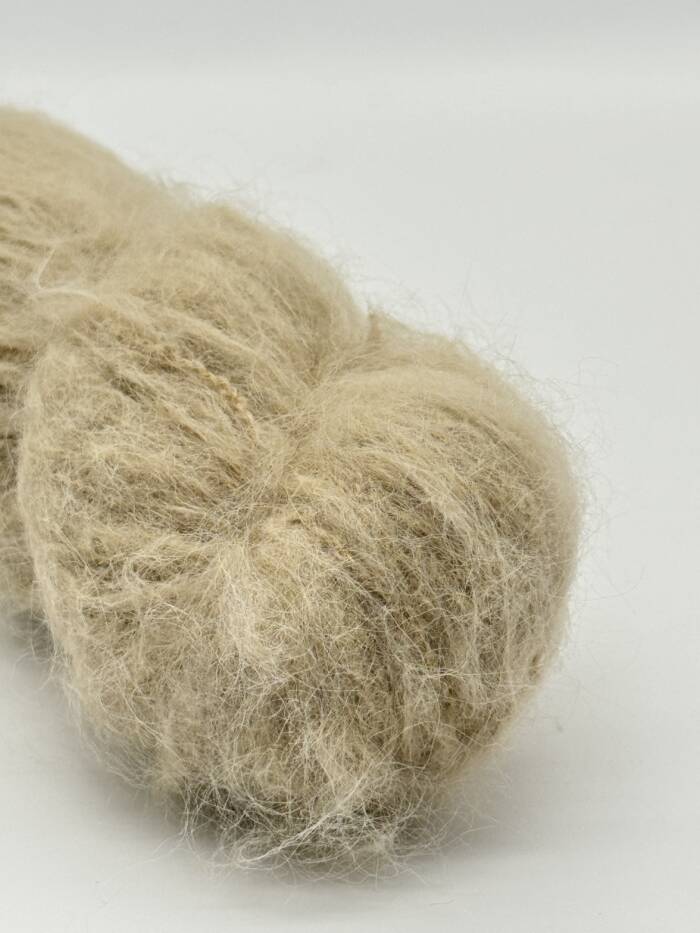 Sahara – Bild 6