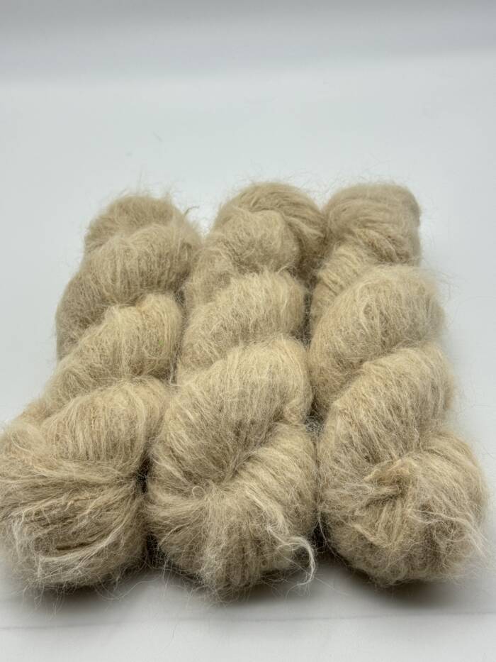 Sahara