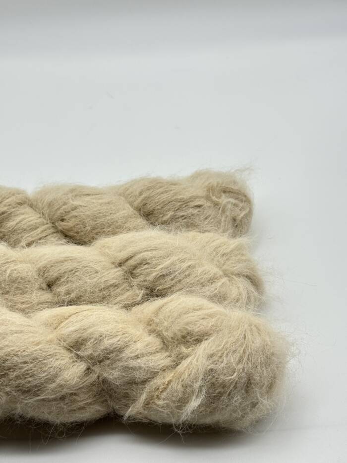 Sahara – Bild 2