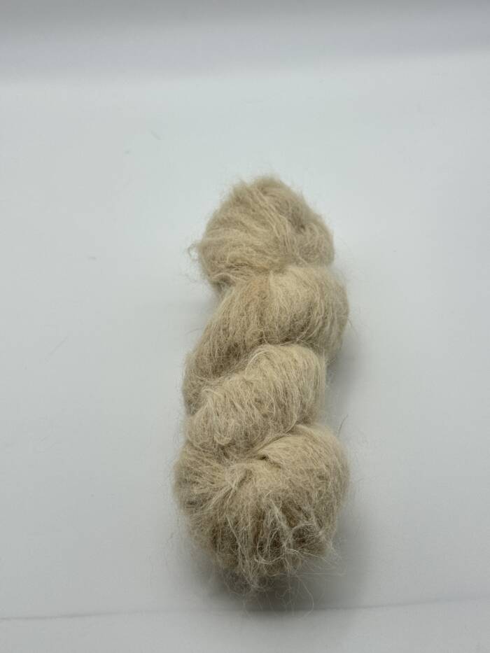Sahara – Bild 4