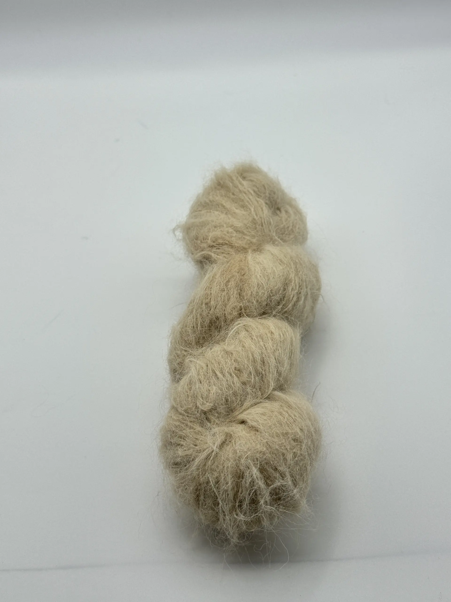 Sahara – Bild 4