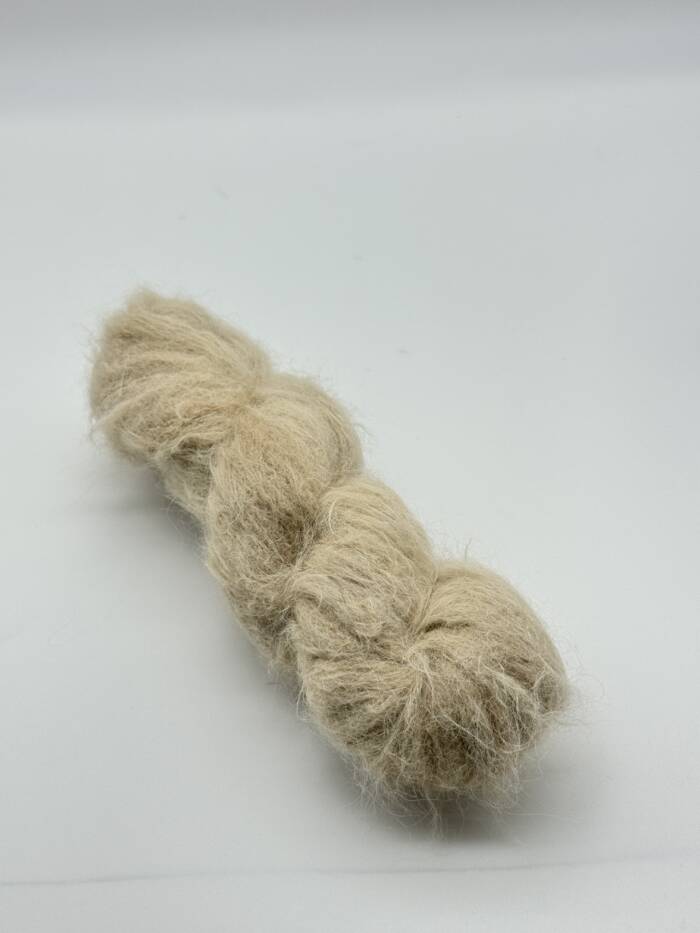 Sahara – Bild 3