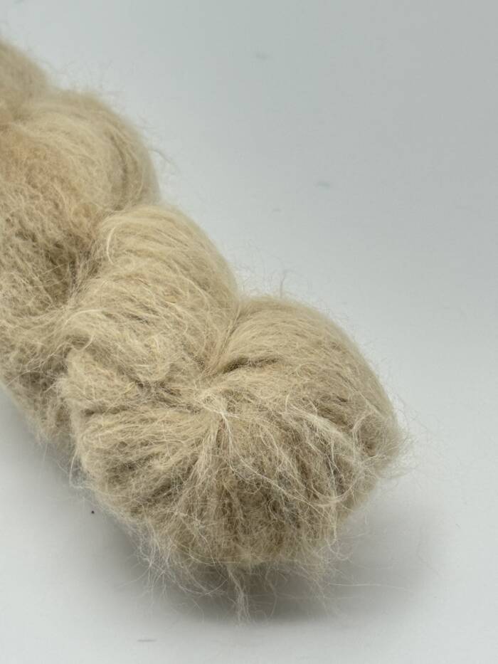 Sahara – Bild 5