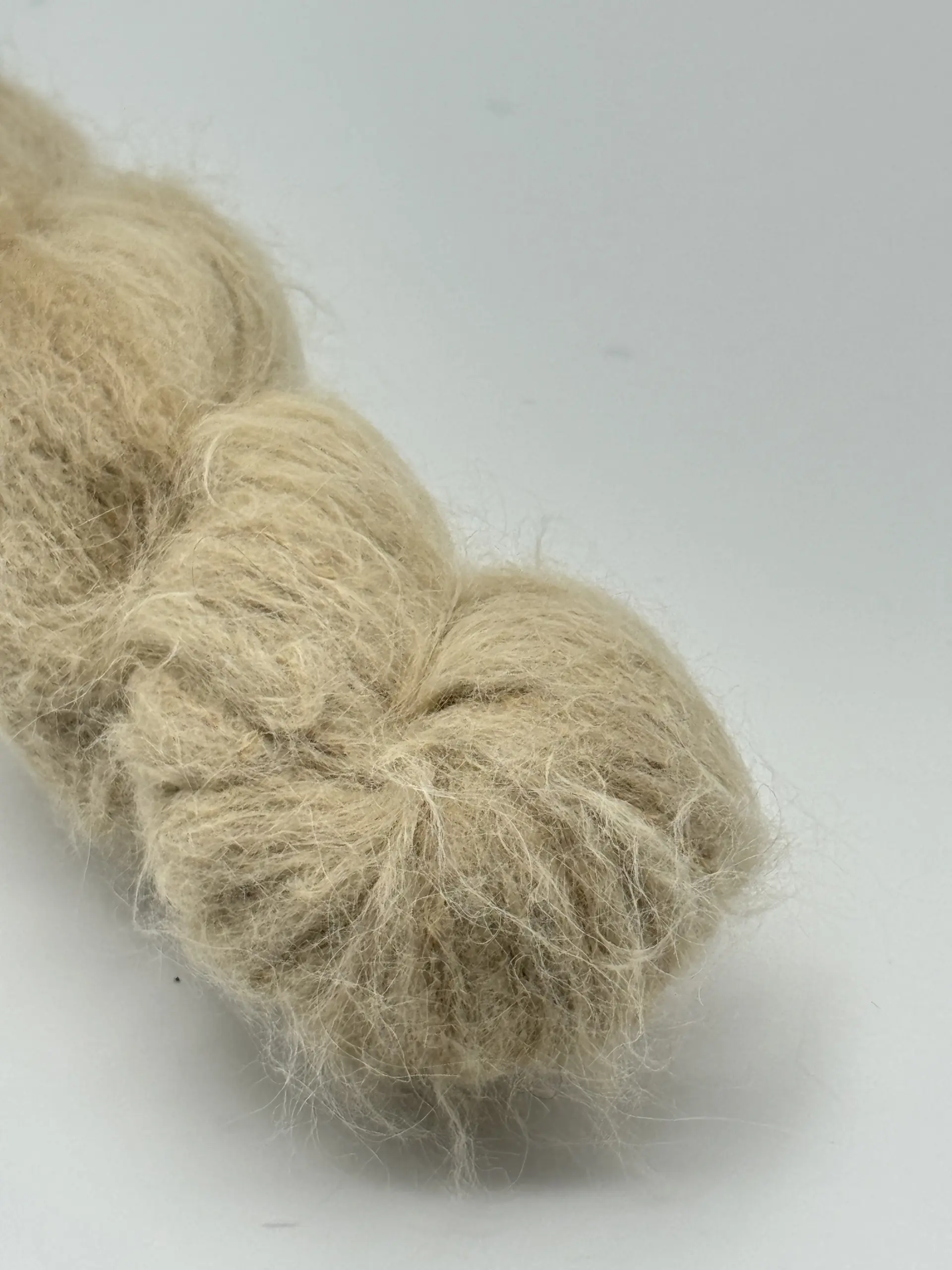 Sahara – Bild 5