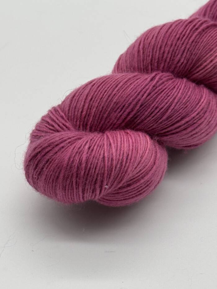 Burgund – Bild 5