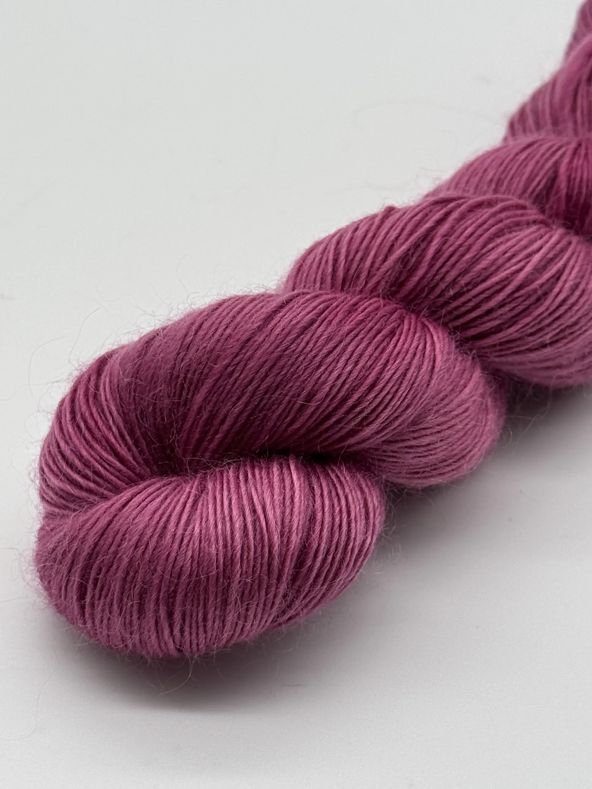 Burgund – Bild 5