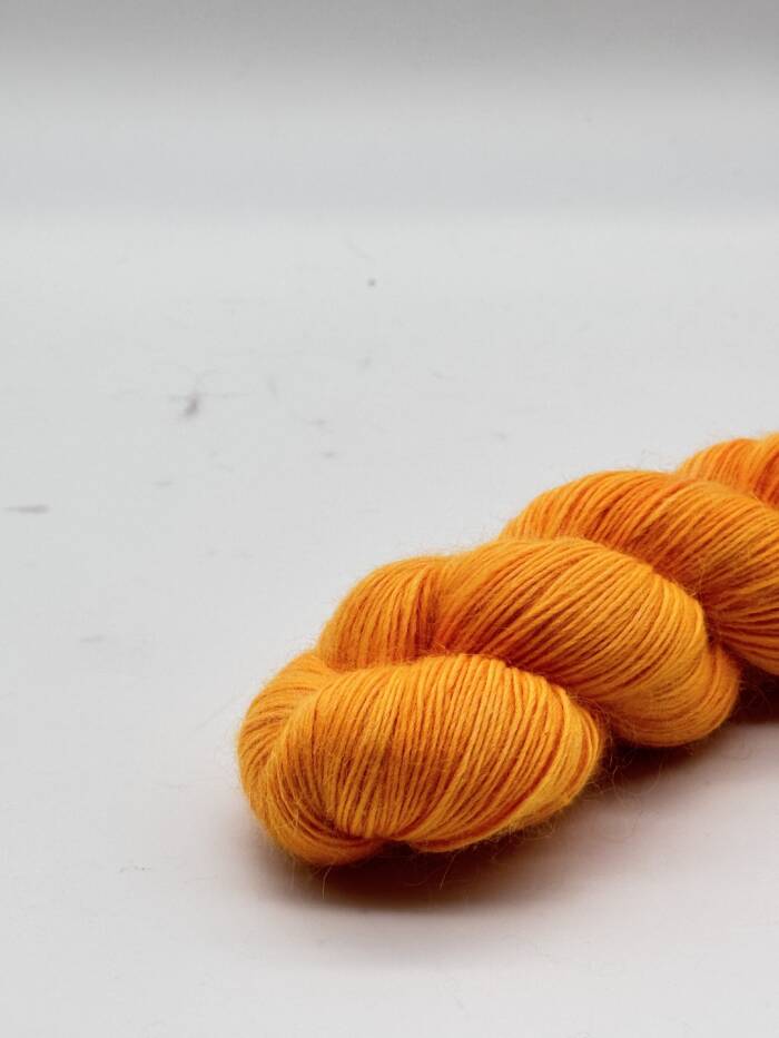 Orange Highlight – Bild 5