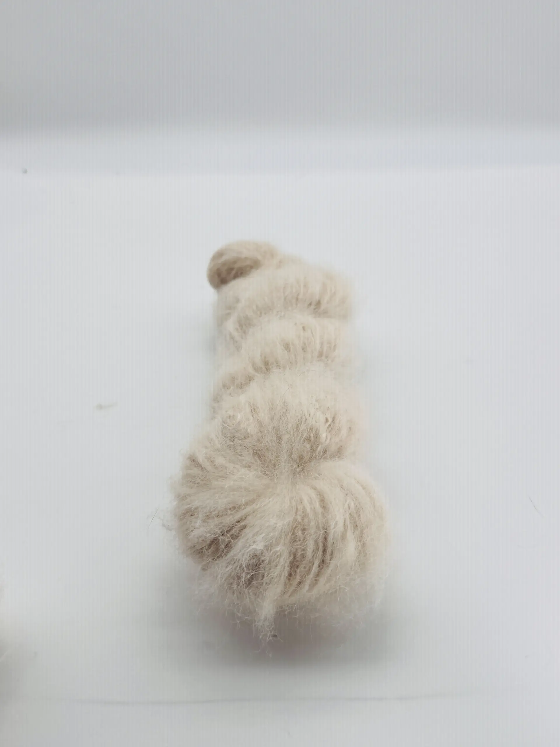 Pamina – Bild 3