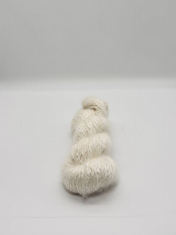 Creamy White – Bild 3