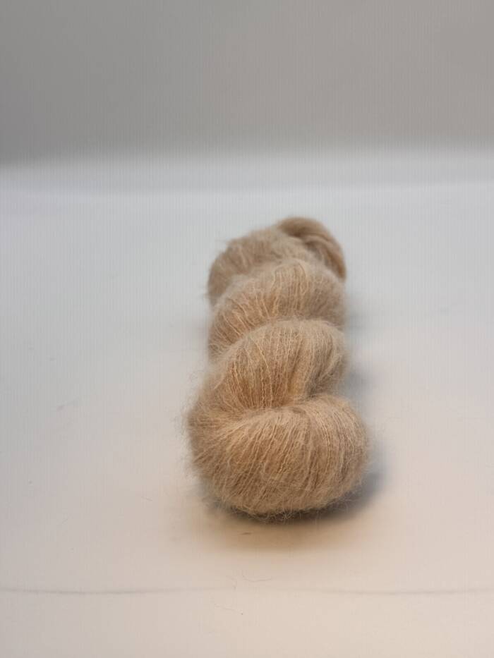Hazel – Bild 3