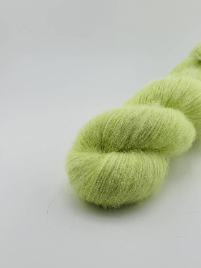 Kiwi – Bild 4