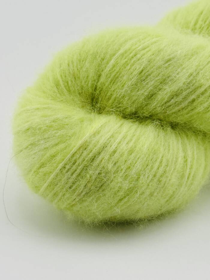 Kiwi – Bild 5