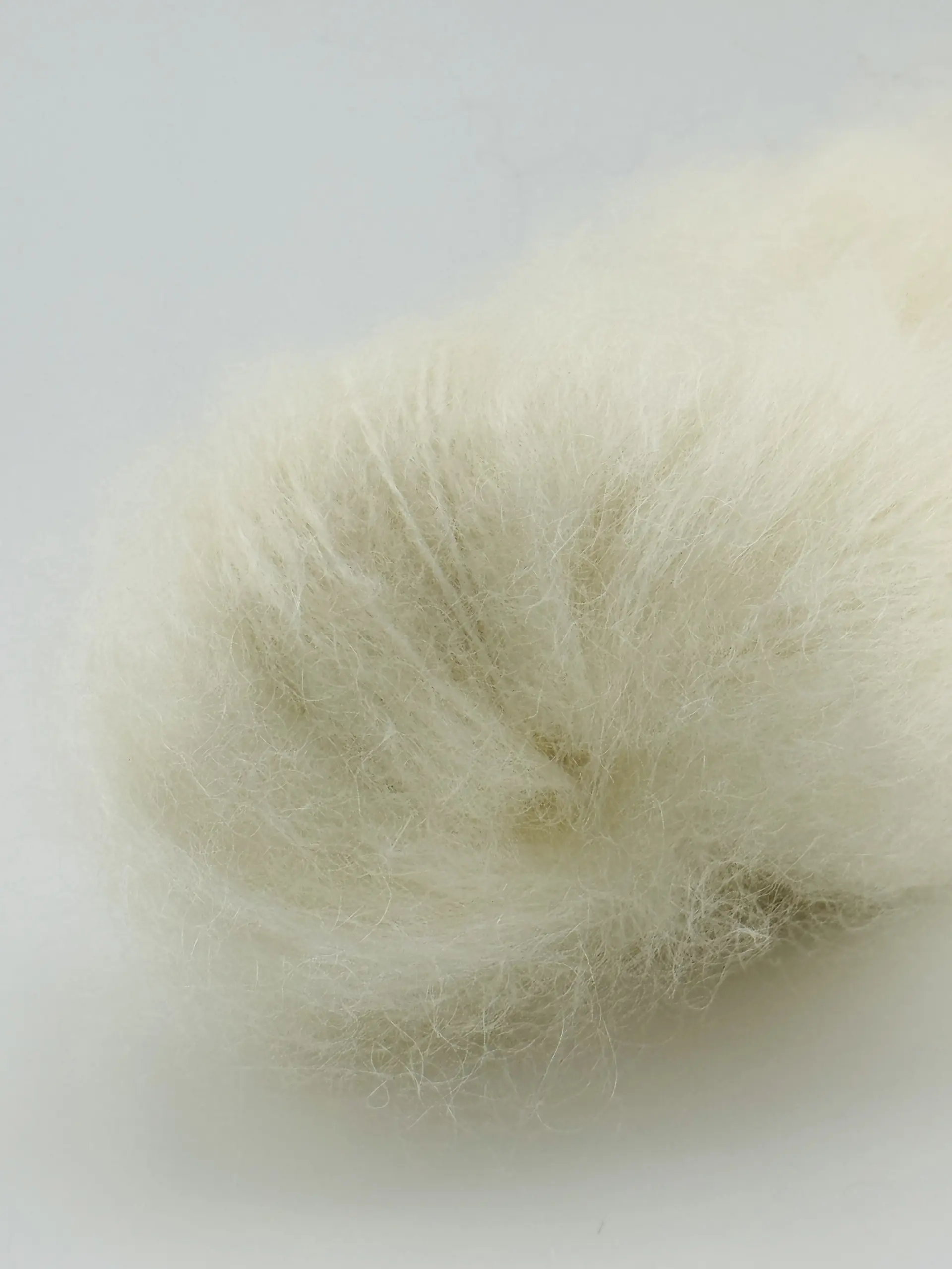 Creamy White – Bild 3