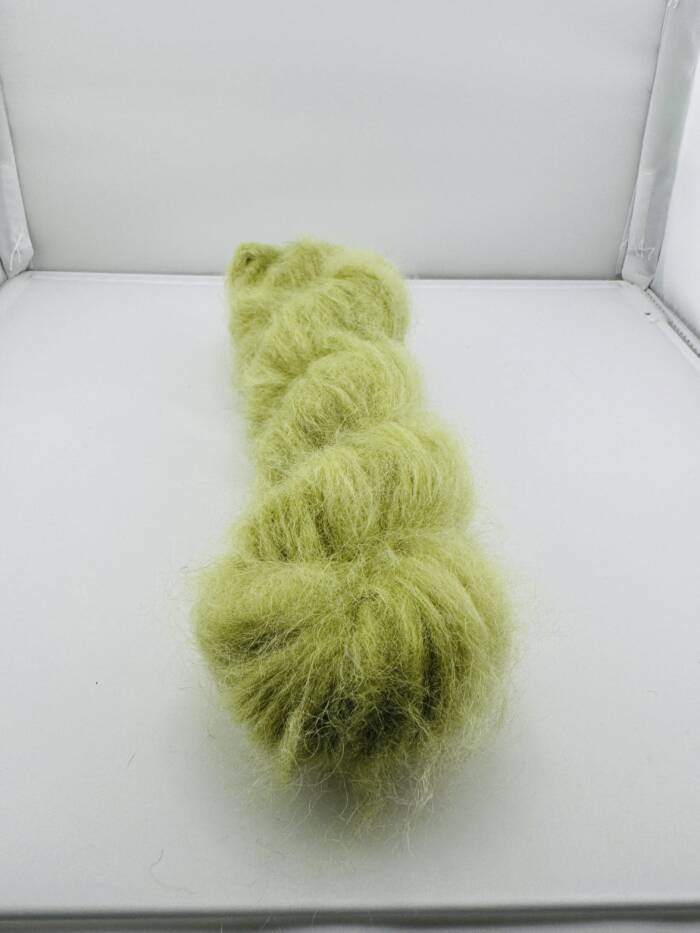 Golden Olive – Bild 3