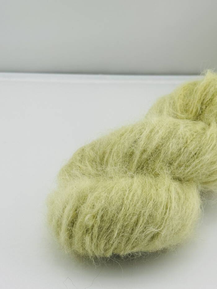Golden Olive – Bild 5