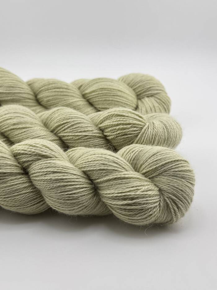 Aura Olive – Bild 2