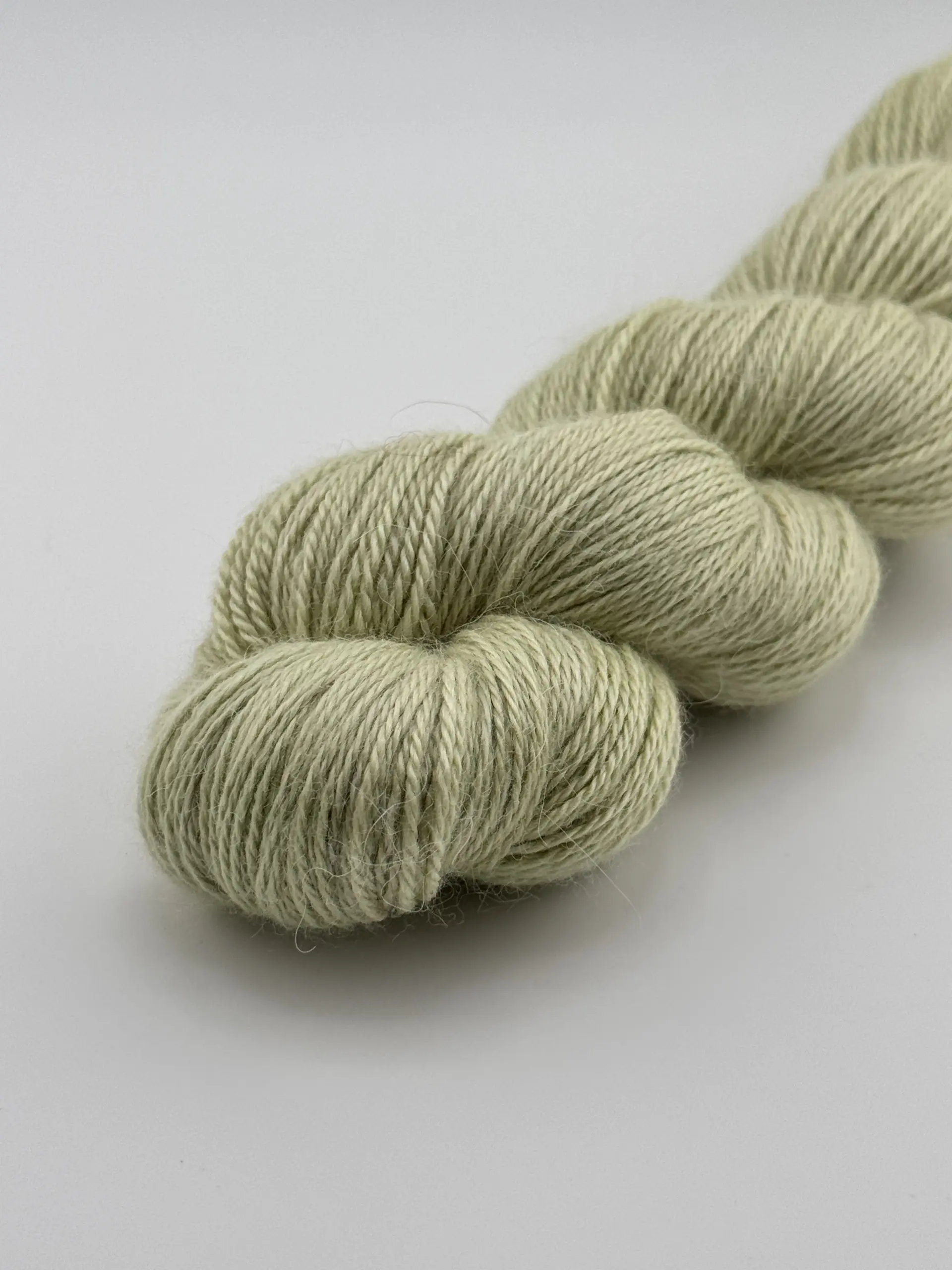 Aura Olive – Bild 4