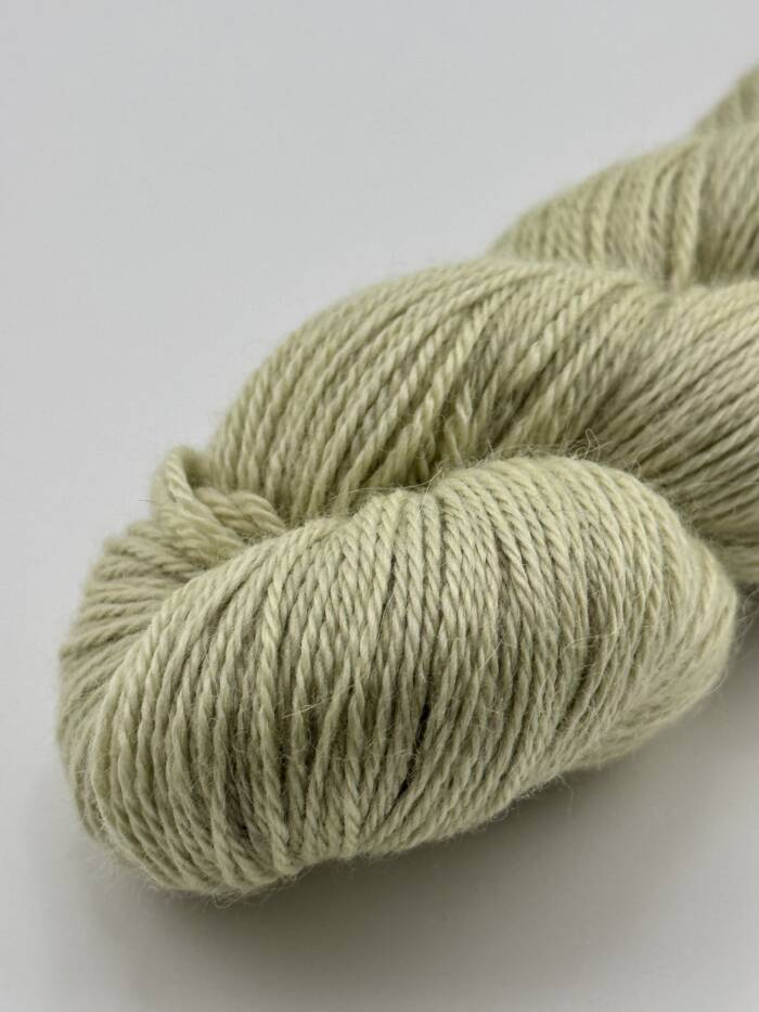 Aura Olive – Bild 5