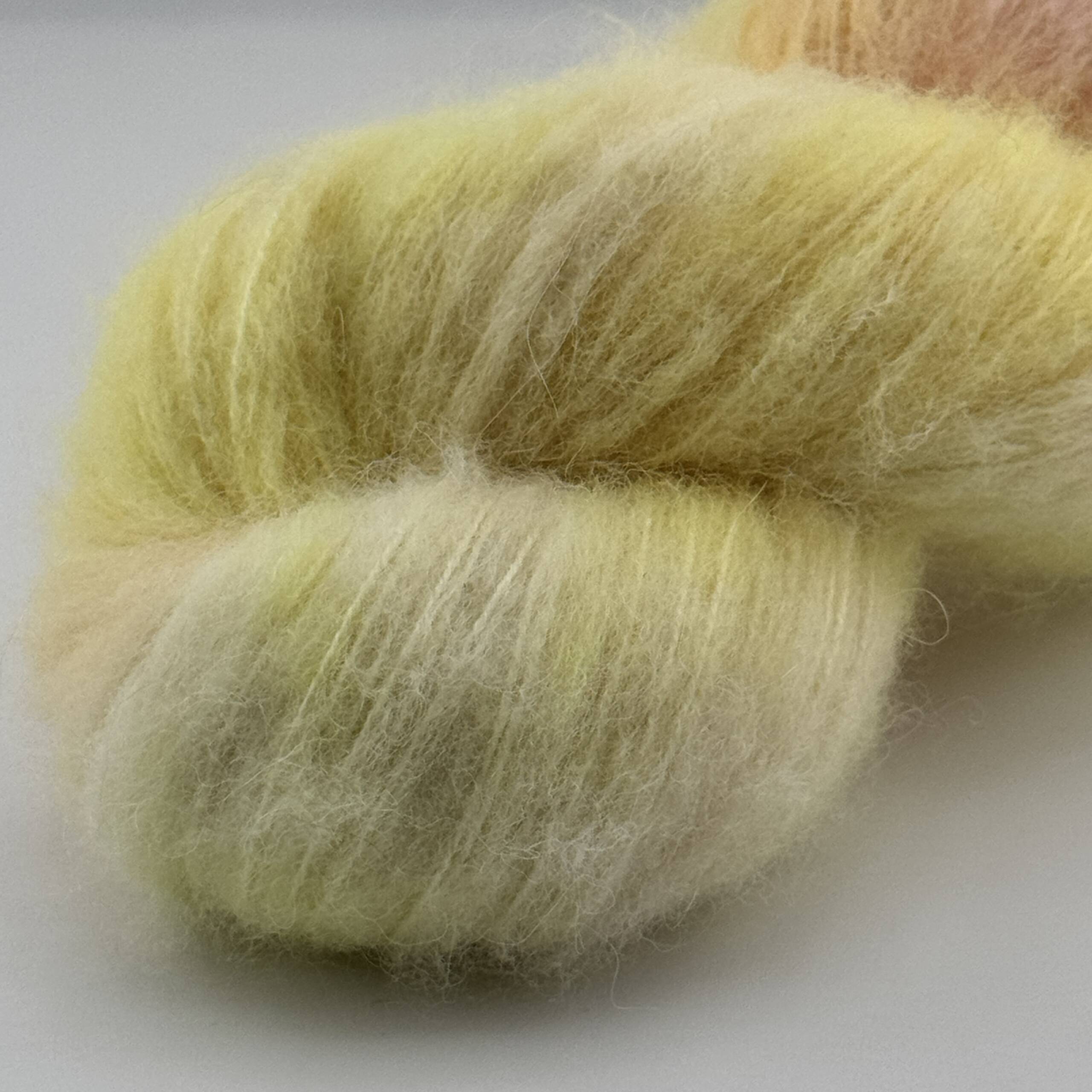 Rosenschein – Bild 3