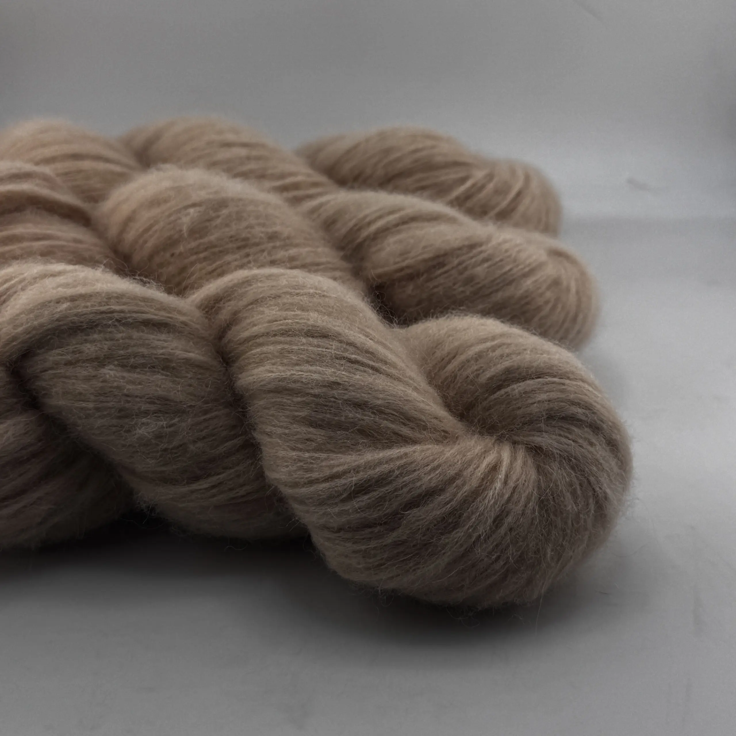 Golden Glow – Bild 2