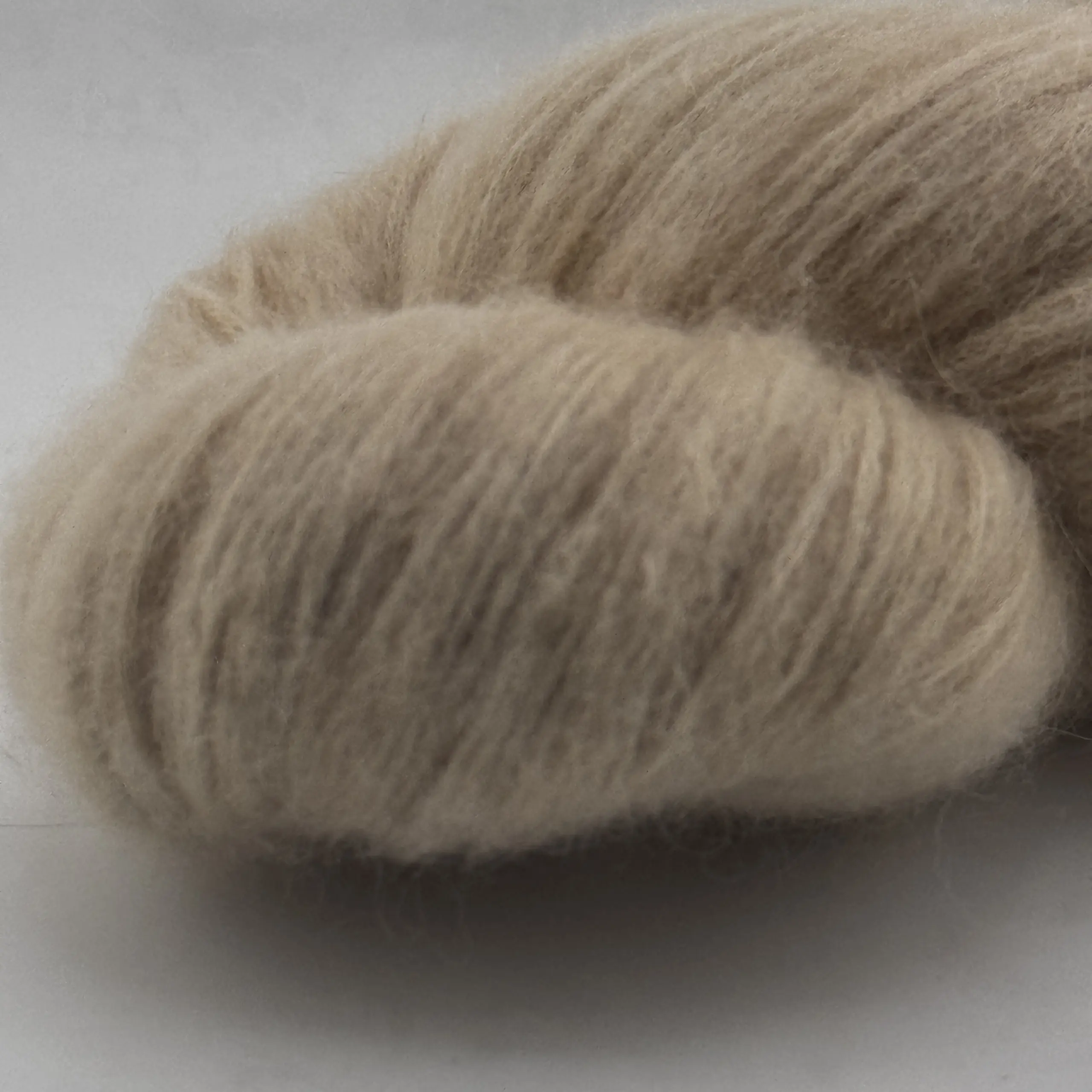Golden Glow – Bild 5