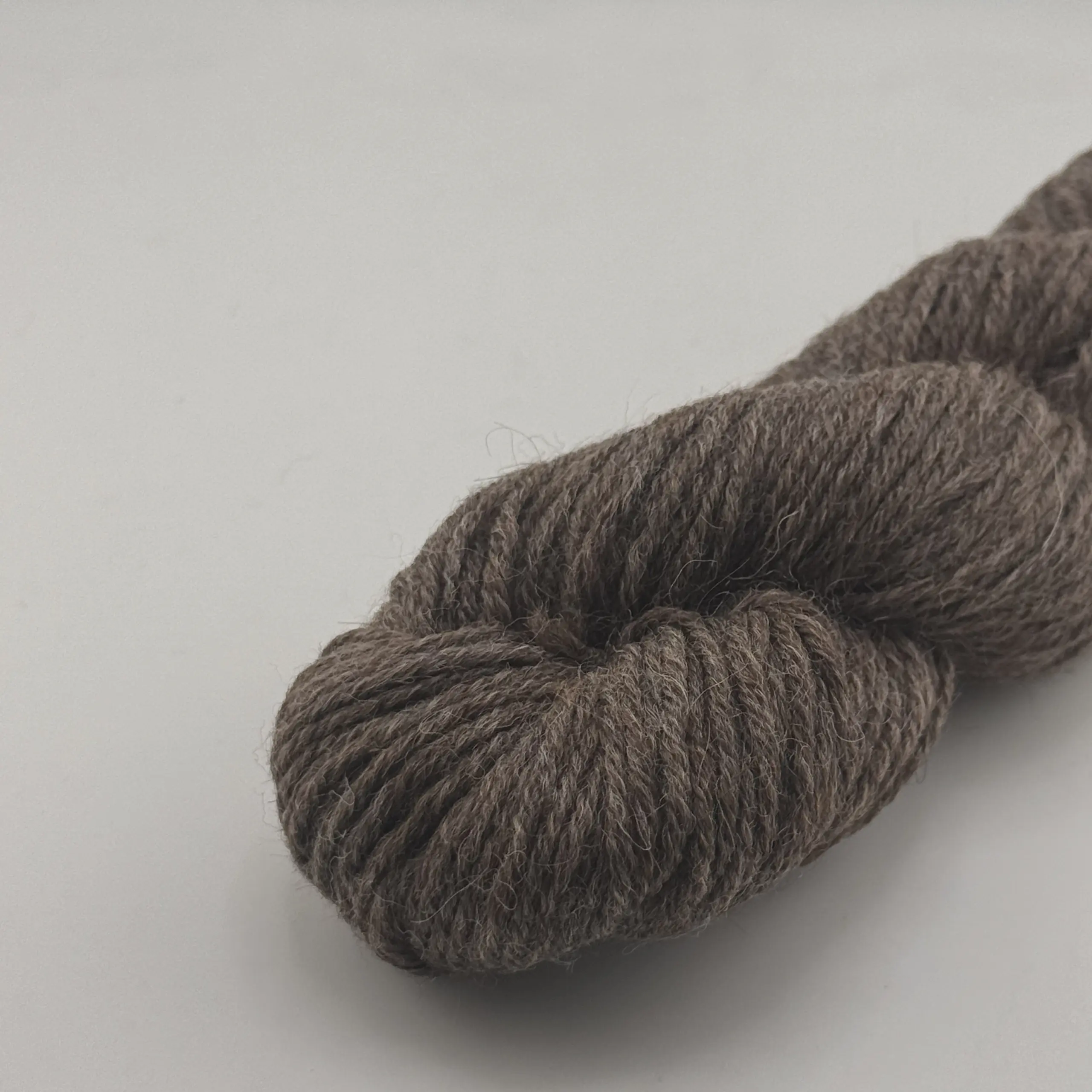 Walnut – Bild 4