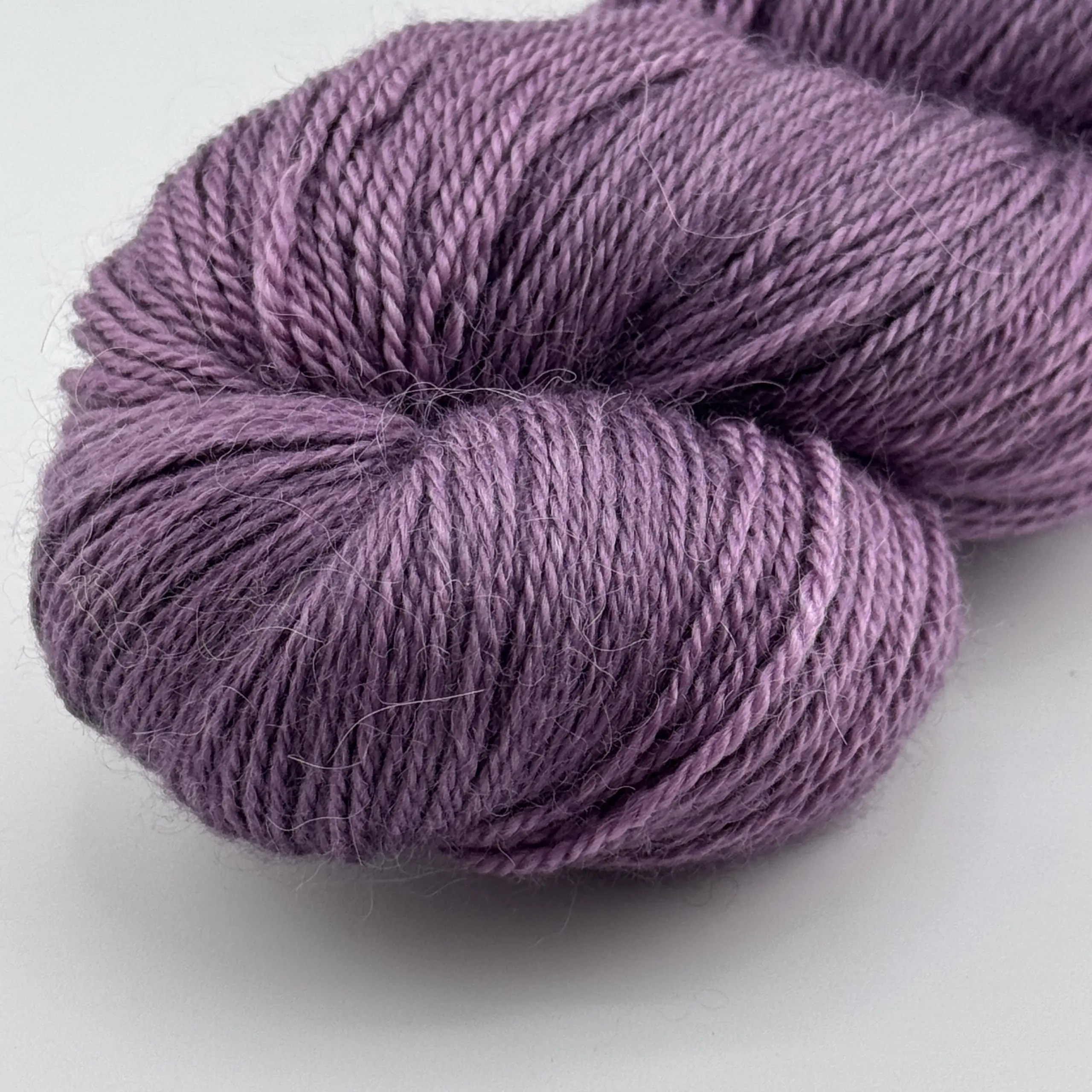 Aura Plum – Bild 5
