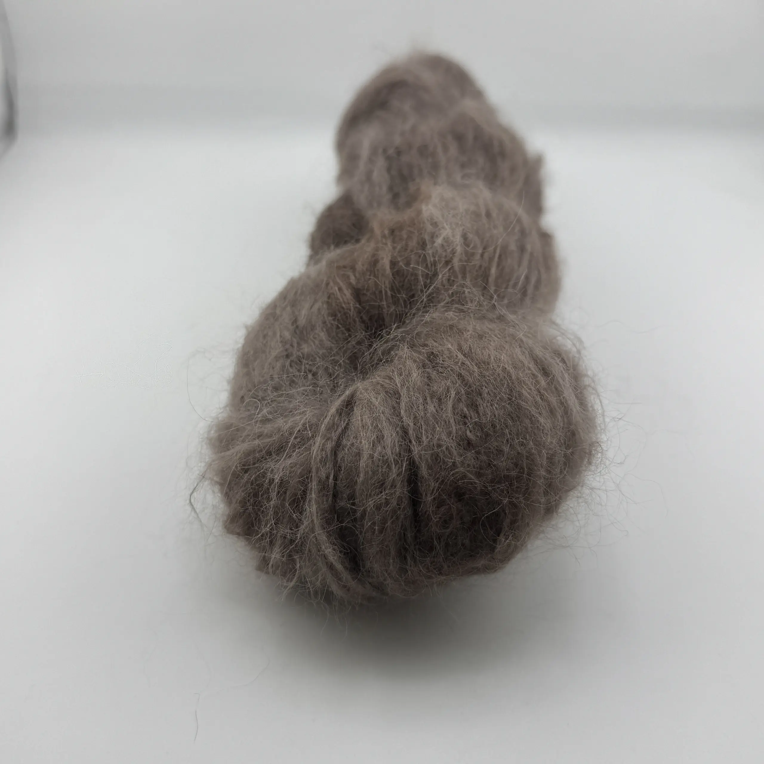 Mocca – Bild 3