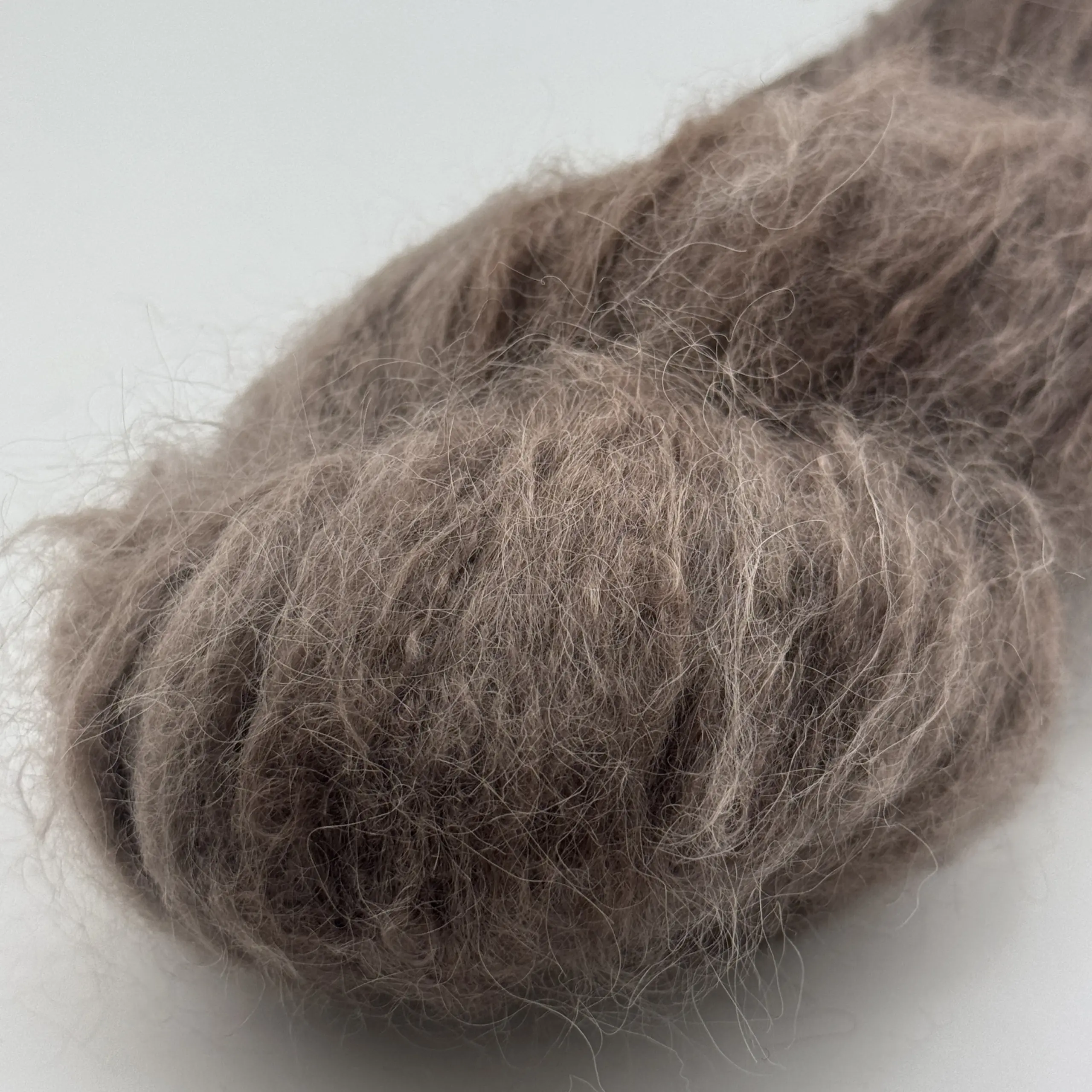 Mocca – Bild 4