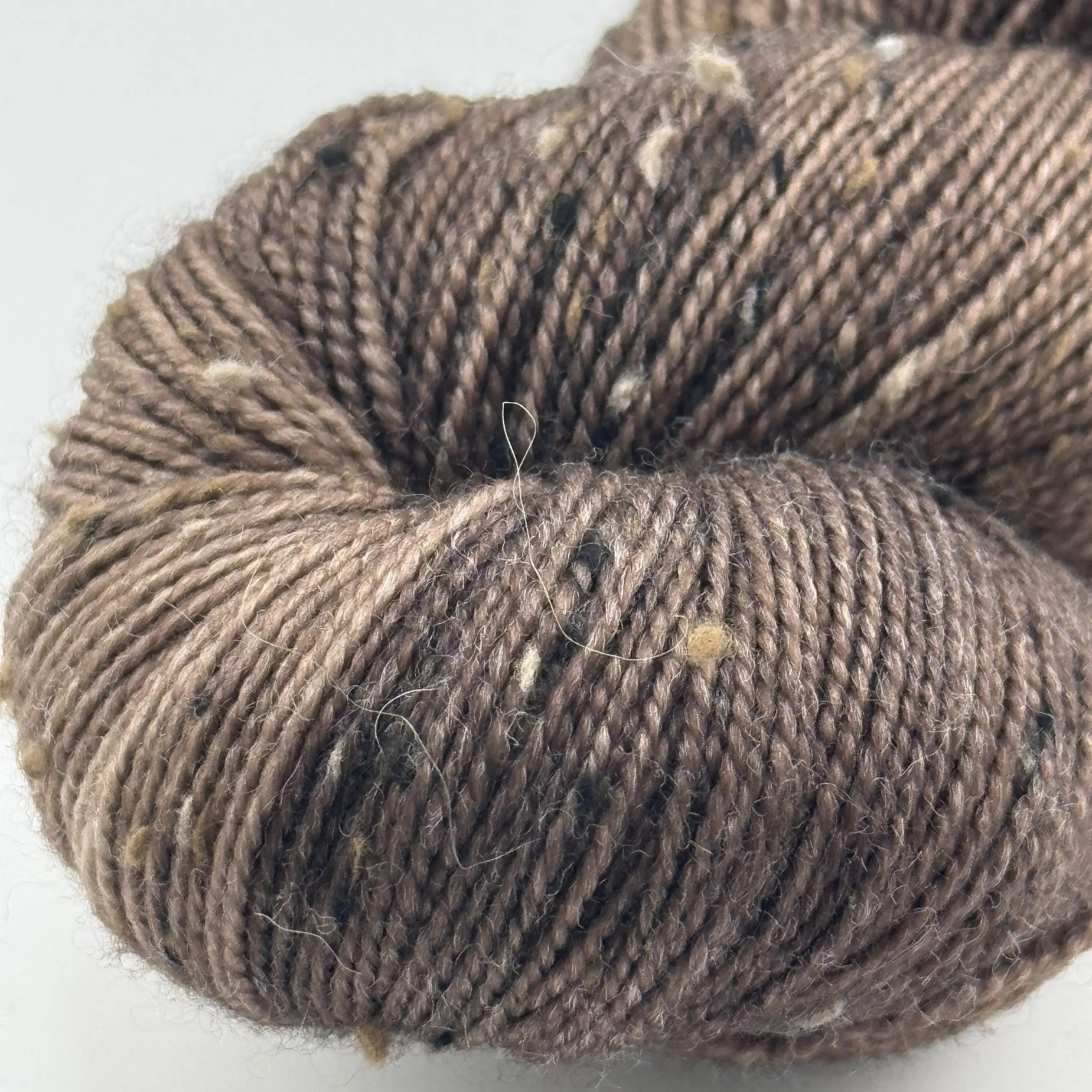 Clio Mocca – Bild 5