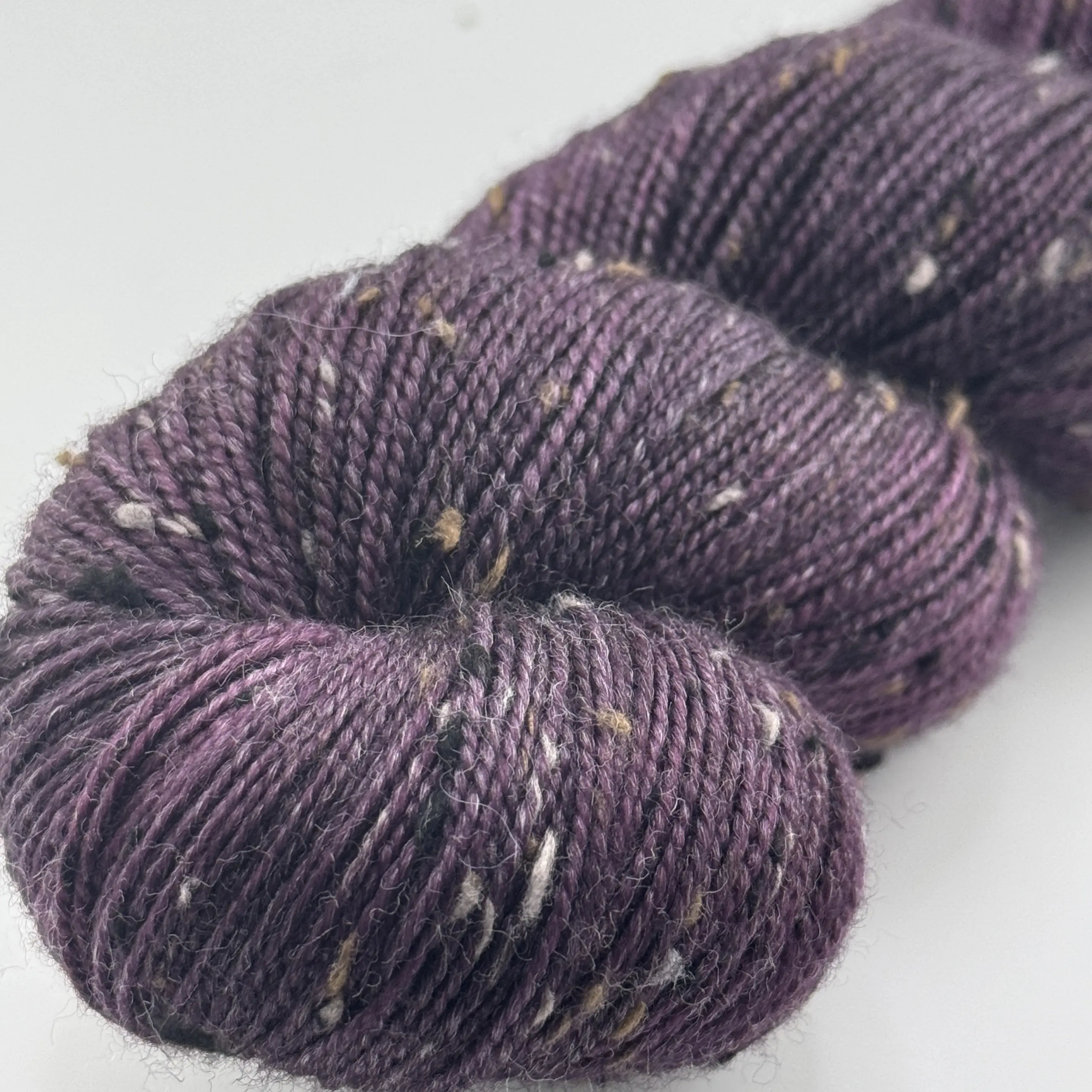 Clio Merlot – Bild 4