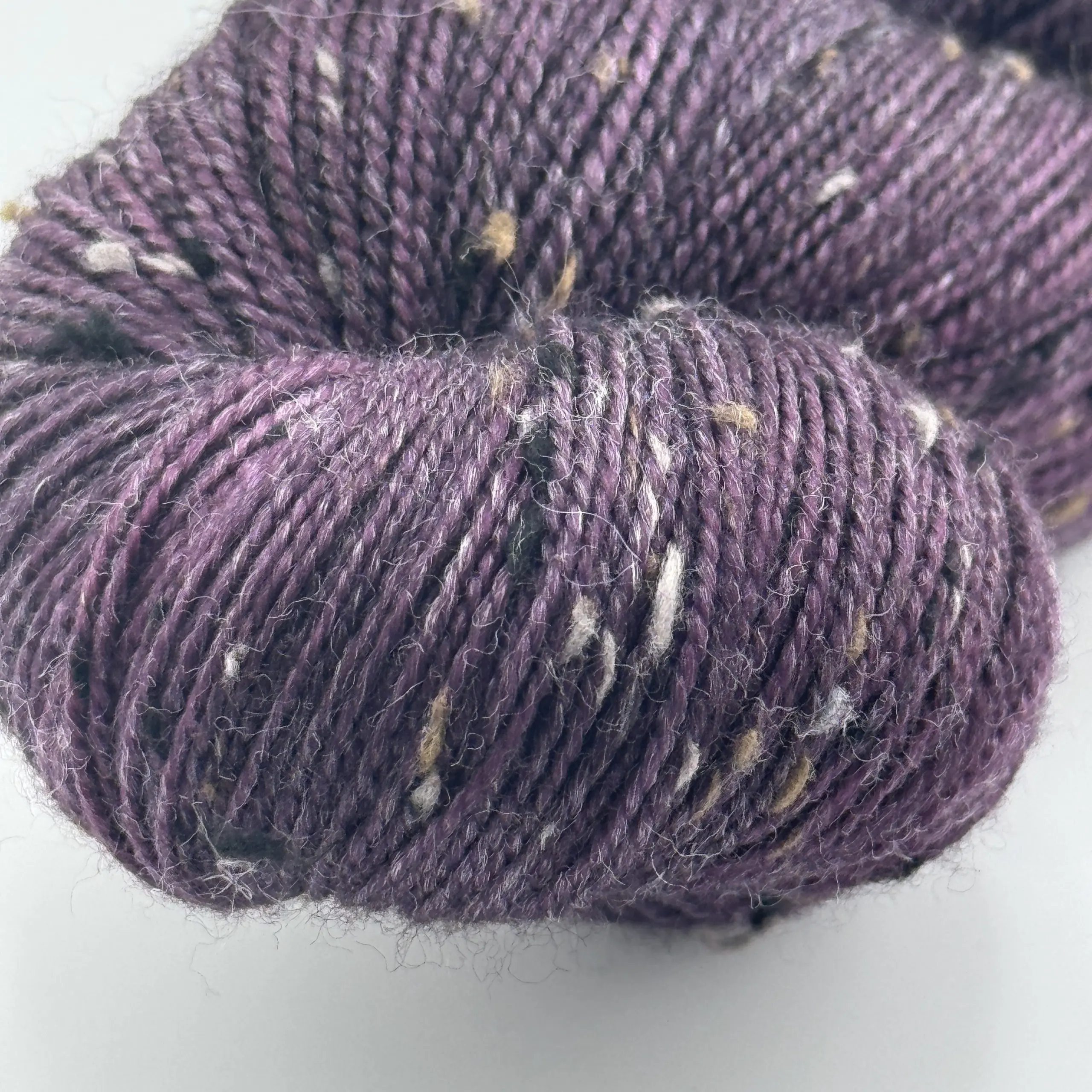 Clio Merlot – Bild 5